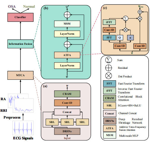 DRLFormer: A Data Rebalancing Loss Constrained Light Transformer For OSA Detection